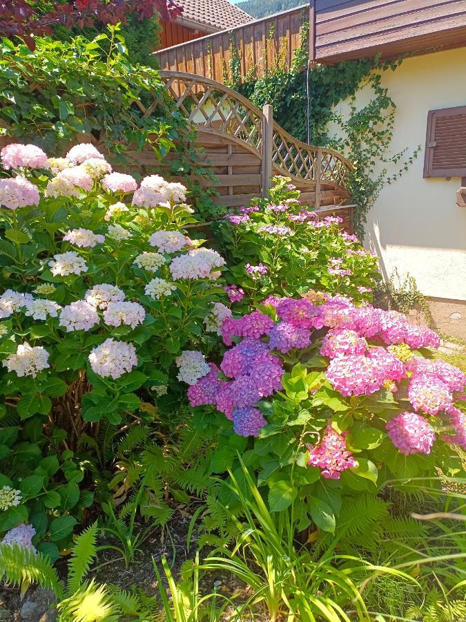 Haus Flora - Ferienwohnung Bodensdorf Ngoại thất bức ảnh